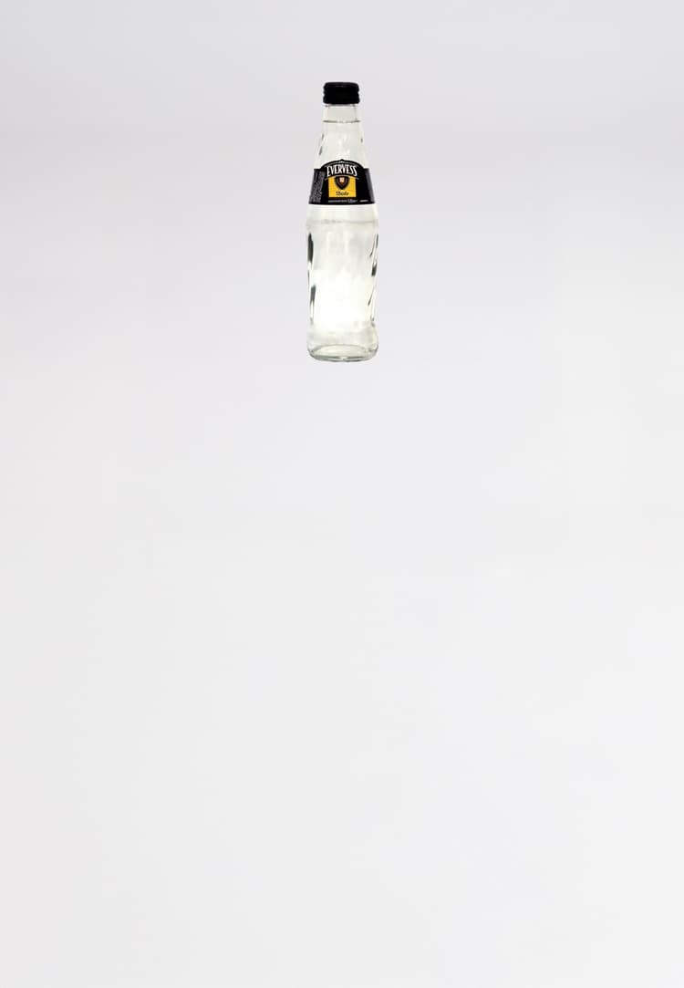 Evervess tonic 0,25l