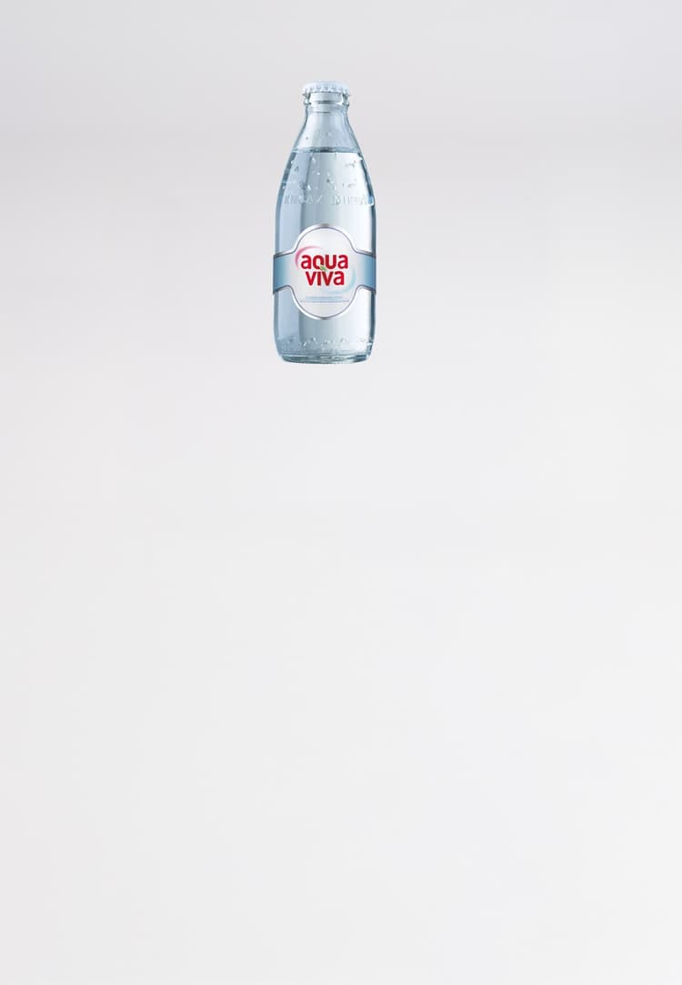 Aqua viva 0,25l